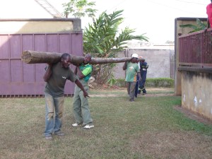 The new pole coming in on the shoulders of the workers.