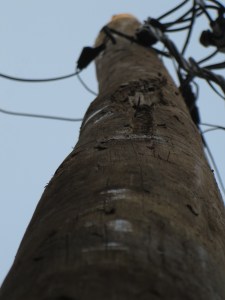 The new pole with all it's accoutrements :-).