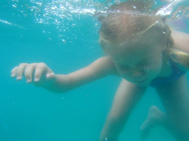 10341497_10102727686281699_5487889375096942247_n